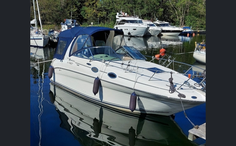 Sea Ray Sundancer 275-kuva-6